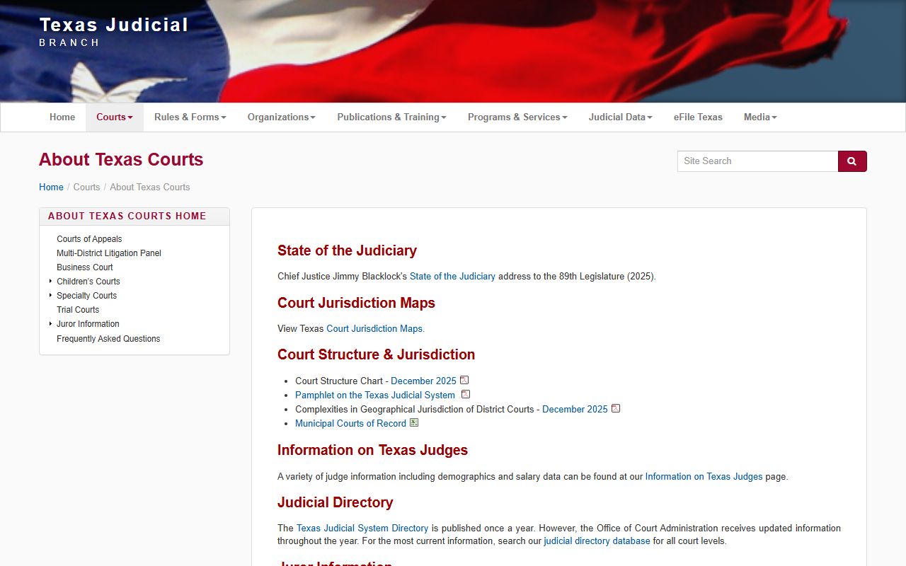 Texas court structure overview for Fort Bend County court records